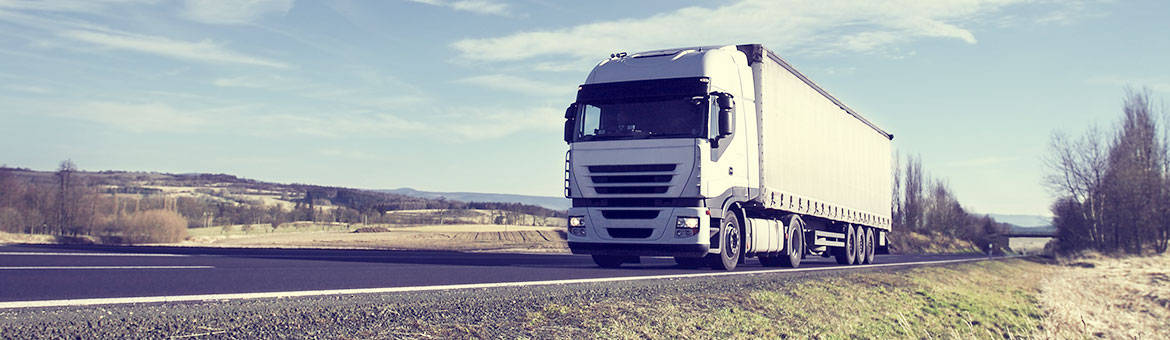 spedicijadincokamion